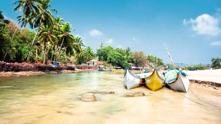 Goa2