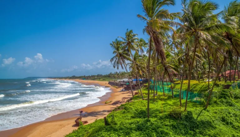 Goa3