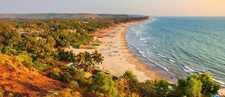 Goa5
