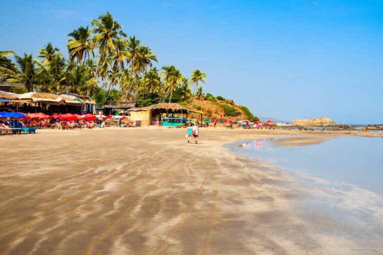 Goa7