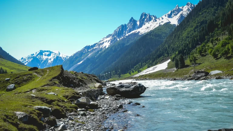 Kashmir (1)