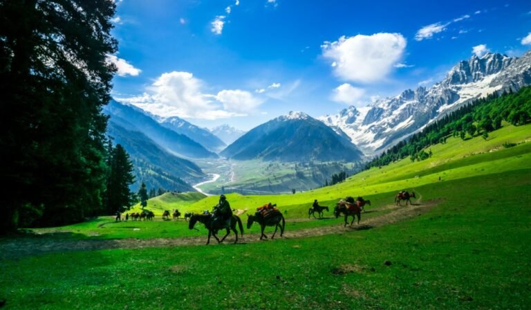 Kashmir (4)
