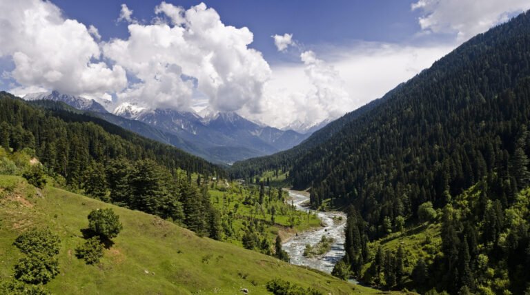 Kashmir (5)