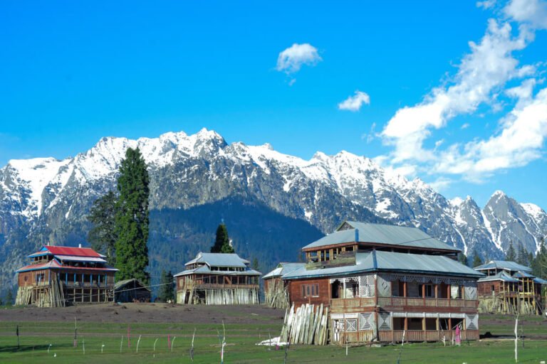 Kashmir (6)