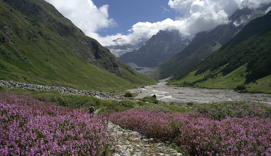 Uttarakhand (8)